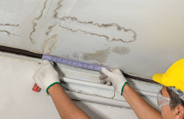 Reliable Mold Remediation contractor in Macomb, OK by Local Water Damage Repair